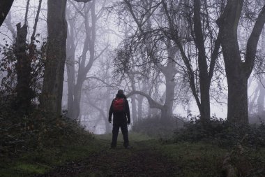 Kasvetli, sisli bir kış gününde, sırtında sırt çantasıyla ormanda yürüyüş yapan biri..