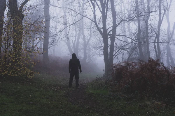 Une Silhouette Capuchon Sur Chemin Travers Une Forêt Effrayante Lors — Photo