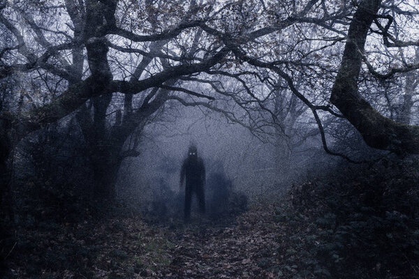 A Horror concept of a figure with glowing eyes on a path through a spooky forest on a moody, foggy winters day. With a grunge, grain, texture edit.