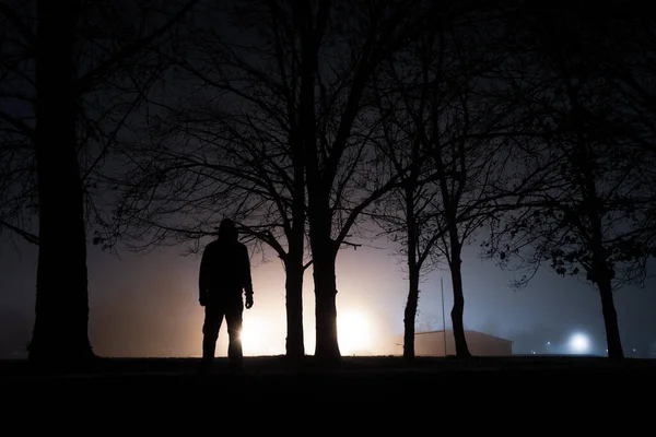 Een Figuur Met Capuchon Die Naast Bomen Staat Tegen Een — Stockfoto