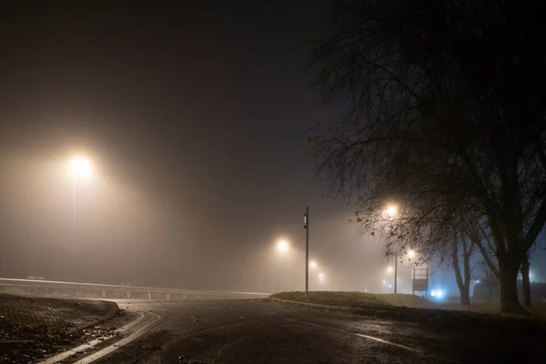 Looking Road Street Lights Atmospheric Foggy Winters Night — Stock Photo, Image