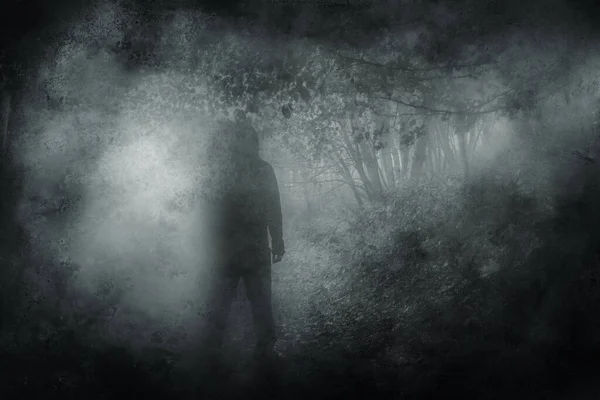 怖いフード姿だ 霧の多い秋の日に森の中に立つ グランジ ぼやけた編集で — ストック写真
