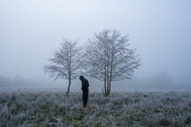 Soğuk bir kış günü, sisli bir gökyüzüne bakan iki ağacın arasından bakan bir adamla. Castlemorton Common, Worcestershire, İngiltere.
