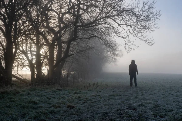 Zakapturzona Postać Powrotem Kamery Patrzę Mgłę Mroźny Atmosferyczny Zimowy Dzień — Zdjęcie stockowe
