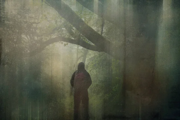 一个神秘的头戴头巾的徒步旅行者 抬头看森林里的一棵树 带着牢骚模糊的编辑 — 图库照片