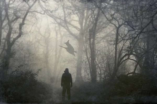 Hombre Mirando Una Bruja Volando Palo Escoba Espeluznante Día Invierno —  Fotos de Stock