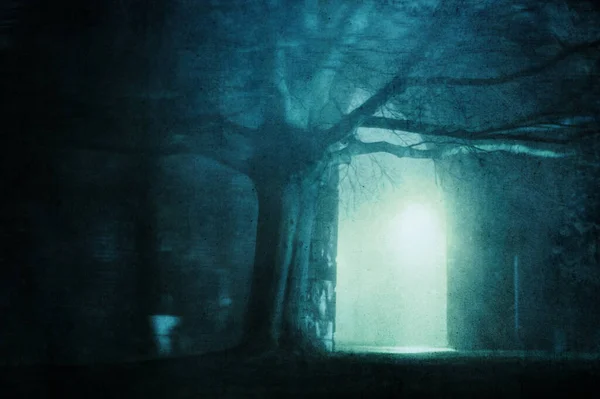 霧の多い冬の夜に街の通りに輝くアーチ グランジ 編集で — ストック写真