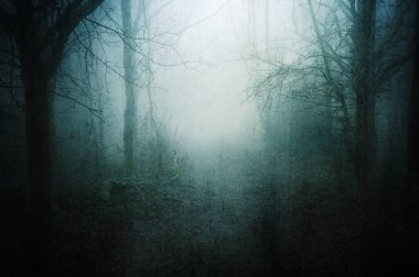 Huysuz ve sisli bir kış gününde ürkütücü bir ormanın içinden geçen korku konsepti. Bir grunge, soyut düzenleme ile.