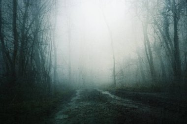 Sisli bir kış gününde ürkütücü bir ormanda çamurlu bir yol kavramı gibi bir rüya. Bir grunge, soyut düzenleme ile.