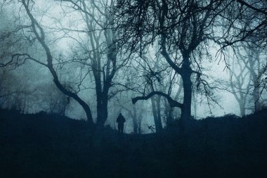 Atmosferik, karamsar bir kavram. Soğuk ve sisli bir kış gününde bir orman yolunda duran yalnız bir şahsiyeti. Bir grunge, desenli düzenleme ile.            