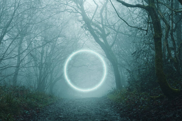 A fantasy concept. Of a glowing portal in a spooky forest. On a foggy winters day