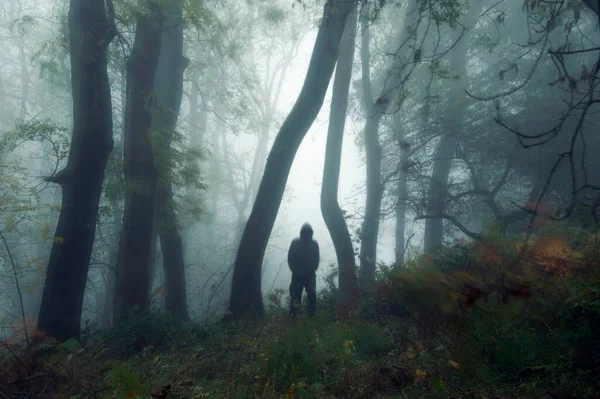 Eine Beängstigende Kapuzenfigur Die Einem Wald Einem Stimmungsvollen Nebligen Herbstwald — Stockfoto