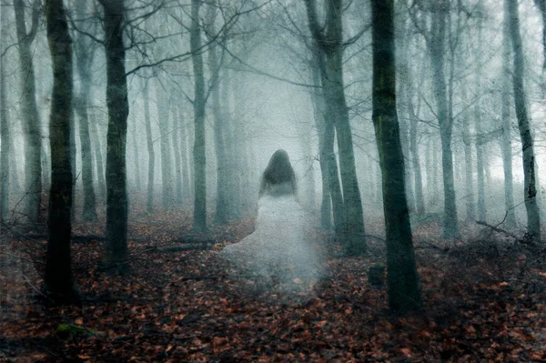 一个超自然的概念 一个穿着白色长裙的幽灵般的女人 在冬天穿过一个恐怖的 雾蒙蒙的森林 带着牢骚 老式的编辑 — 图库照片