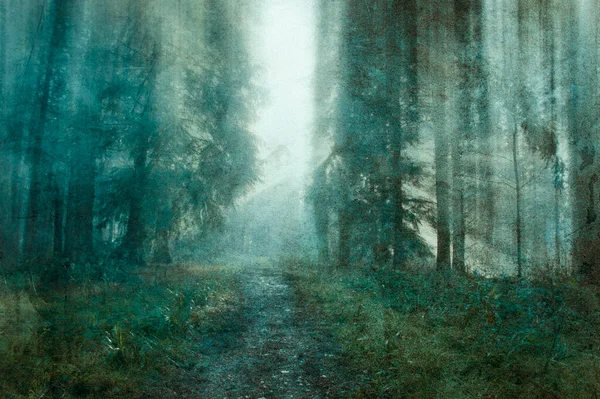 Blurred Abstract Edit Beautiful Forest Atmospheric Misty Day Grunge Abstract — Stock Photo, Image