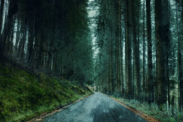 Long Straight Road Going Conifer Forest Artistic Grunge Edit Elan — Stock Photo, Image