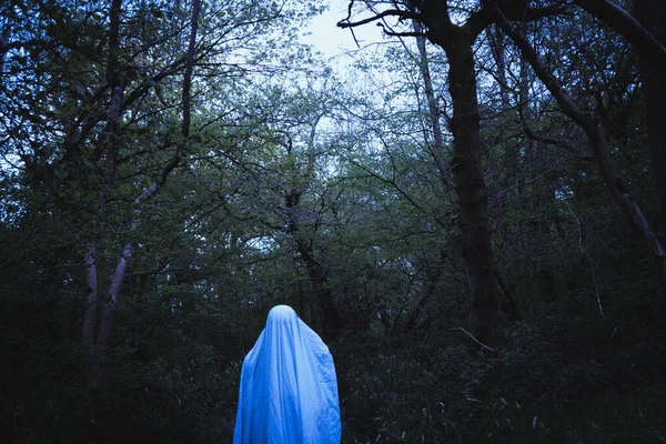 Kafasında Çarşaf Olan Bir Hayaletin Kasvetli Korku Filmi Ormanda Dikilirken — Stok fotoğraf