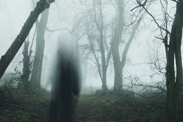 A moody horror edit of a blurred, transparent ghost standing in a forest. On a bleak foggy, winters day.