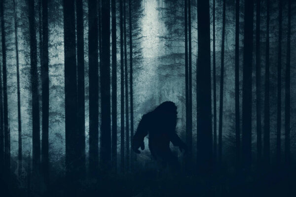 A dark scary concept. Of a mysterious bigfoot figure, walking through a forest. Silhouetted against trees in a forest. With a grunge, textured edit. 
