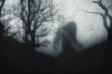 A dark scary concept. Of a mysterious bigfoot figure, walking through a forest. Silhouetted against trees. On a foggy winters day. With a grunge, textured edit.  clipart
