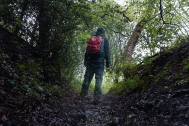 Looking up at a sunken path though woodland. On a wet, moody summers day. With a double exposure of a half transparent hiker. UK. 