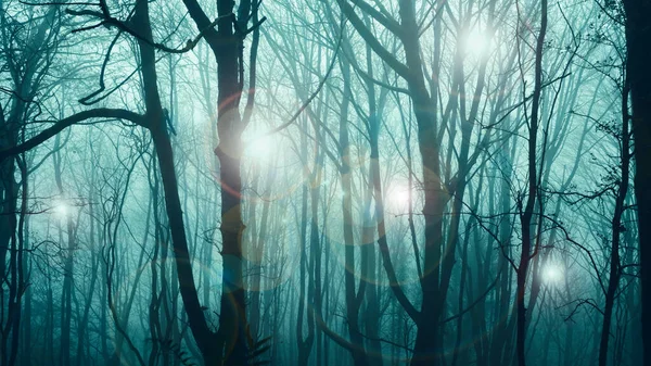 Ufo Concept Glowing Orbs Light Floating Though Spooky Forest Atmospheric — Stock Photo, Image