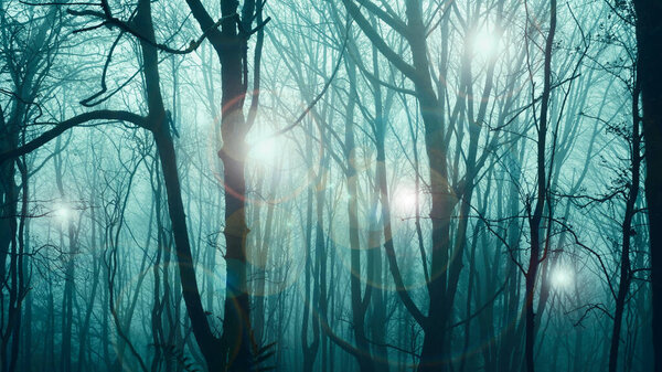 UFO concept. Glowing orbs of light, floating though a spooky forest. On an atmospheric winters evening.