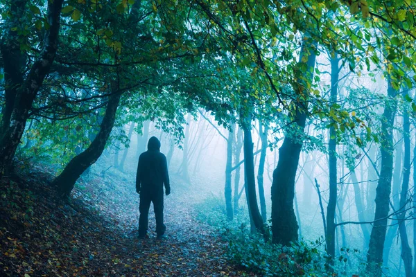 Atmospheric Concept Spooky Hooded Figure Back Camera Standing Forest Cold — Stock Photo, Image