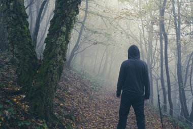 An atmospheric concept. Of a spooky hooded figure, back to camera. standing in a forest on a foggy autumn day. UK