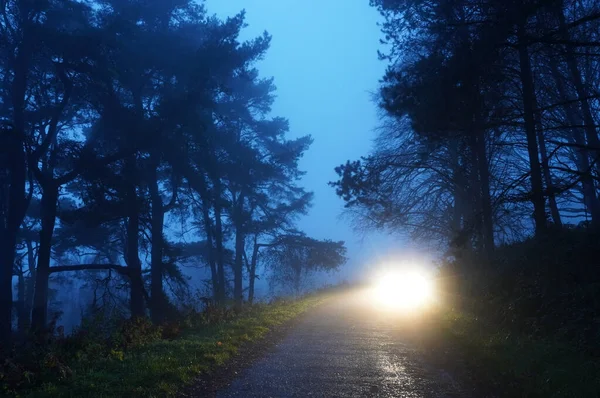 Faróis Brilhantes Misteriosos Uma Trilha Floresta Assustadora Uma Noite Inverno — Fotografia de Stock