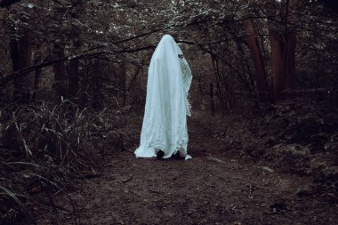 Çarşaflı bir hayaletin korku konsepti. Karanlık ve ürkütücü bir ormanda dikiliyorum. 