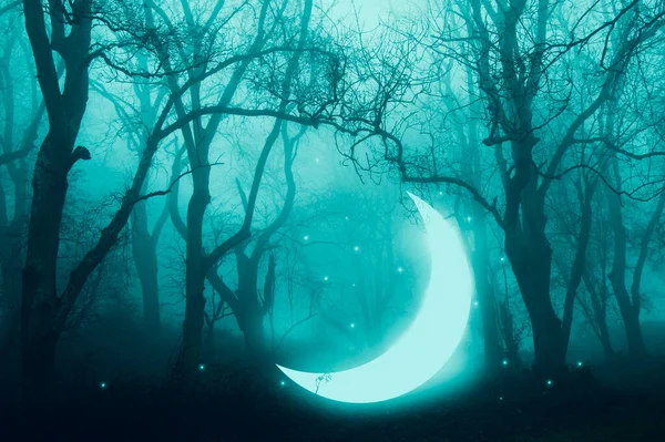 Uma Misteriosa Lua Crescente Brilhante Brilhar Numa Floresta Mágica Numa — Fotografia de Stock