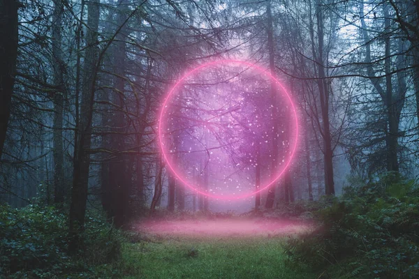 一个幻想的概念 一个发光的霓虹灯入口 冬天在神秘的雾蒙蒙的森林里闪耀 — 图库照片