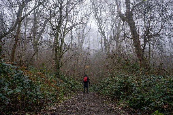 A mysterious hiker, back to camera. Standing in a spooky forest on a hill, on a misty winter\'s day.