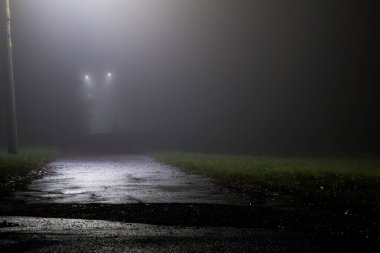 Atmosferik sisli ve gizemli bir gecede parkta ürkütücü bir patika.