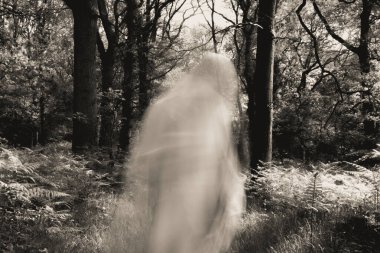 Ormanda bulanık, gizemli bir hayalet. Siyah-beyaz eski bir düzenleme ile.