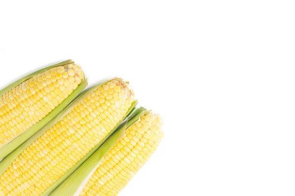 Corn on white background — Stock Photo, Image