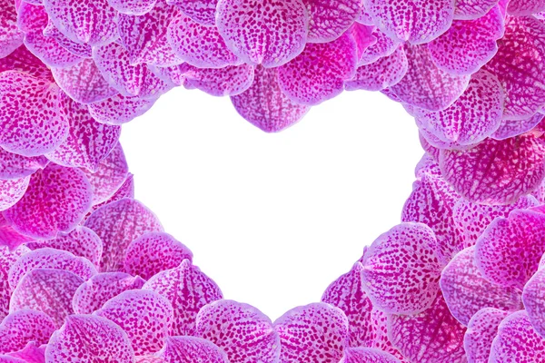 Roze orchidee bloemen hart patroon voor valentines day — Stockfoto
