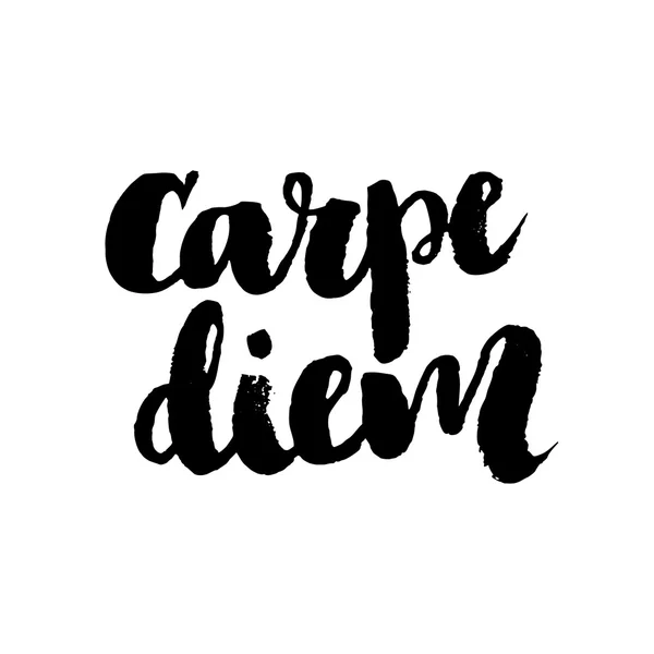 Carpe diem grunge phraze Ilustración De Stock