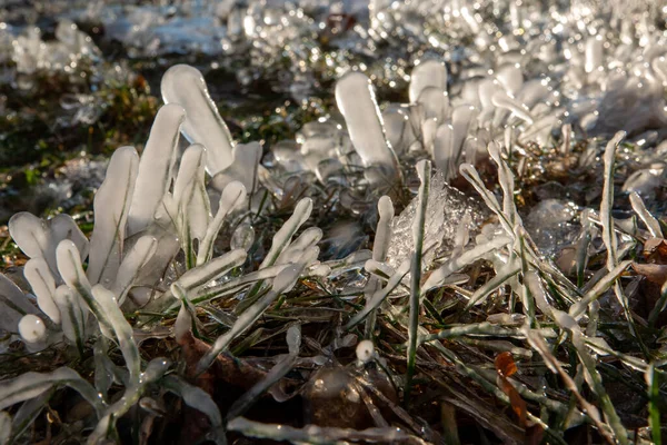 Arriba arriba arriba arriba arriba cerca de macro ver foto de cubitos de hielo y gotas de agua sobre fondo azul con copia vacía espacio en blanco — Foto de Stock