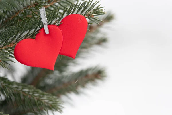 Decorative heart shape ornament Valentines in a Christmas tree A Stock Picture