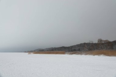 Pereslavl Zalessky, Yaroslavl bölgesindeki Plescheevo Gölü manzarası.
