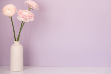 İranlı düğün çiçeği. Bir demet soluk pembe ranunculus çiçekleri ışık arka plan. Duvar kağıdı, yatay fotoğraf