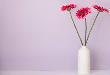 Beyaz arka planda birkaç gerbera