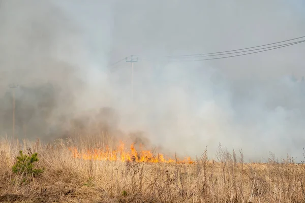 Orman yangını, orman yangını...