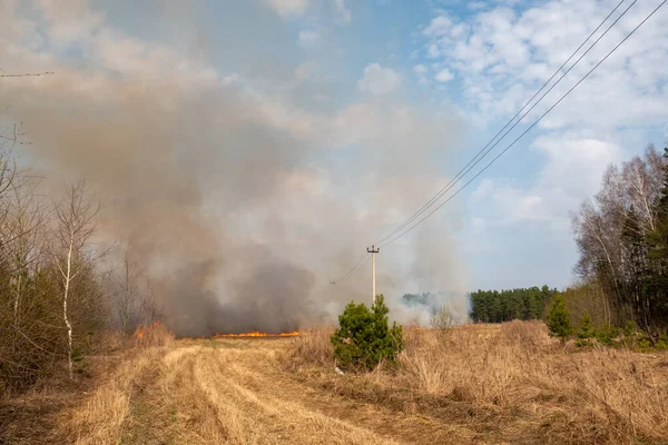 Orman yangını, orman yangını gündüz vakti kapanıyor.