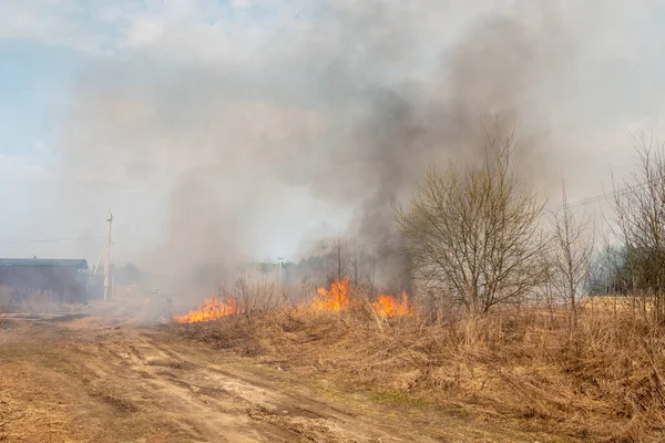 Lesní Požár Hoří Wildfire Uzavírá — Stock fotografie