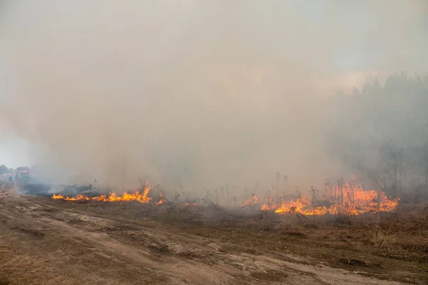 Orman yangını, orman yangını...