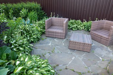 Bir kır bahçesinde çiçek açan bir ev sahibi..