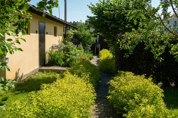 Small House Cabin Shed Together Rich Green Vegetation Lovely Summer — Stock Photo, Image