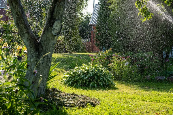 Smart Garden Activated Full Automatic Sprinkler Irrigation System Working Early — Stock Photo, Image